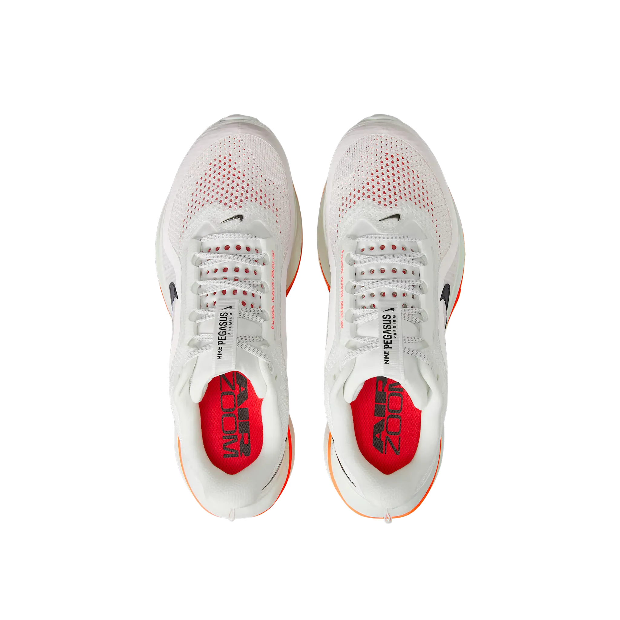 Men's Pegasus Premium Running Trail running in the snow